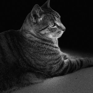 Meet your Posher, Jeana